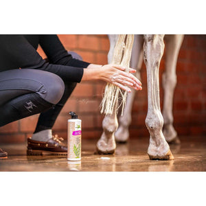 Anwendung des Bense & Eicke Schimmel Shampoos am Pferdebein für glänzendes Fell. Pferdepflege mit natürlichem Duft im Stallbereich.