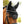 LeMieux Brilliance Fliegenhaube