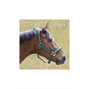 Grünes Kieffer Nylonhalfter am Pferd mit verstellbarem Kopf- und Kinnriemen. Ideal für Stallpferde, bietet hohen Tragekomfort und sicheren Halt.