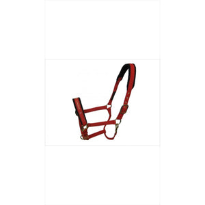 Kieffer Halfter Collection Stallhalfter