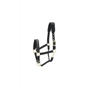Kieffer Halfter Collection Stallhalfter