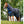 Horseware Outdoordecke Amigo Ripstop Plus Turnout 0g 900D