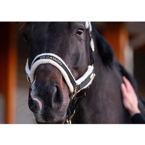 Nahaufnahme des Catago Halfter Bea mit Kunstfellpolsterung und Catago-Logo in Gold, getragen von schwarzem Pferd im Stallbereich.