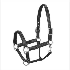 Equestro Lederhalfter