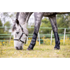 LeMieux Weidegamaschen Paar bei shop.reitsport-loew.de