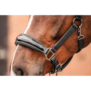 Schwarze Equestrian Lederhalfter Premium #SALE
