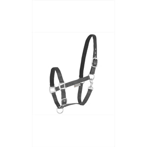 Waldhausen Perlonhalfter Satin Weich unterlegtes Halfter, mehrfach verstellbar #SALE