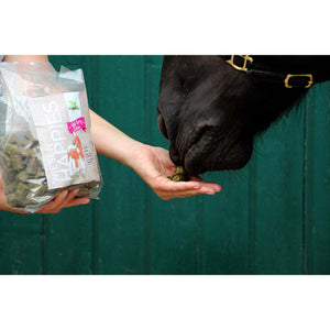 Pferd frisst Bense & Eicke Wiesen Happies aus der Hand vor grünem Stalltor. Getreidefreie Pferdeleckerlis als gesunde Belohnung im Alltag.