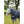 Le Mieux Weidedecke Arika Featherweight 0g
