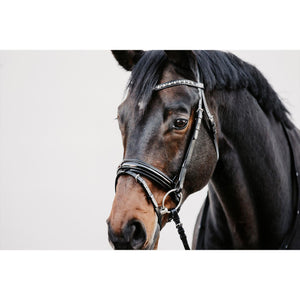 Döbert Trensenzaum Mainz bei shop.reitsport-loew.de