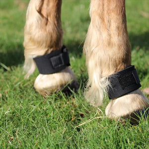 EQUEST Fesselschutz, Paar schwarz