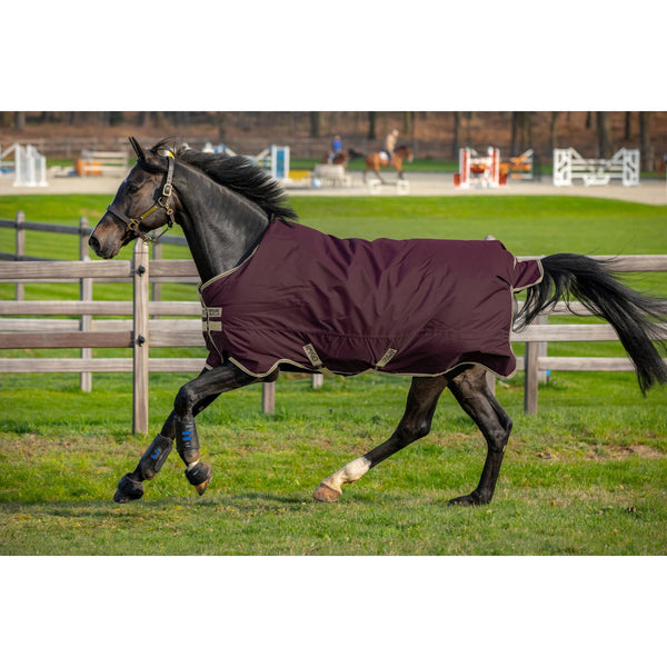 Horseware outdoor rug Amigo Hero Ripstop light 0g 