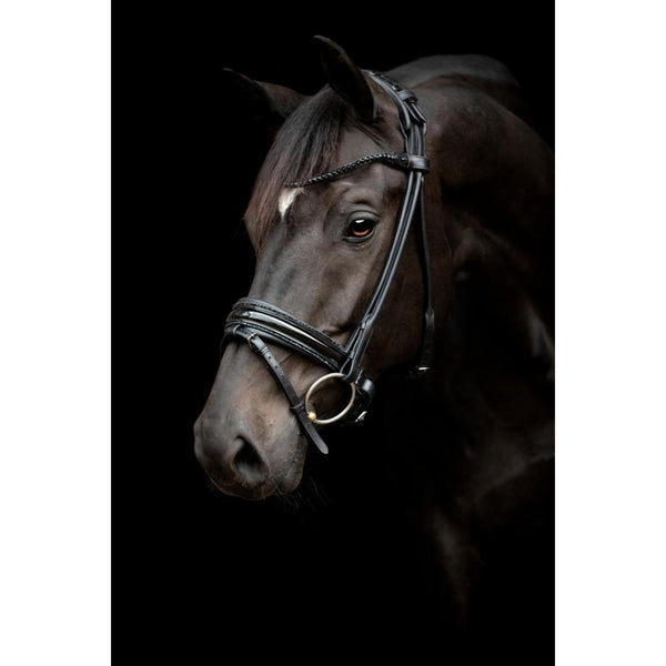CATAGO bridle Nival standard collection 