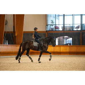 Reitpferd mit Horse Guard Glitzer Gamaschen im Training, idealer Beinschutz mit Netzfutter und PU-Lederoptik für stilvolles Pferdezubehör.