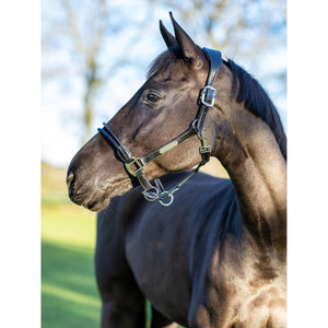 LeMieux Halfter Rope Control #SALE