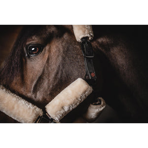Nahaufnahme eines braunen Pferdes mit One Equestrian Lammfellhalfter, Artikel 15343. Weiches synthetisches Schaffell für maximalen Tragekomfort.
