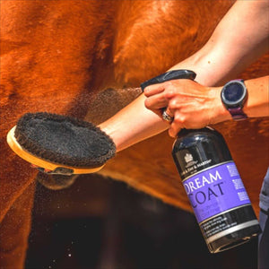 Anwendung des Dreamcoat Fellglanzsprays 500ml auf Pferdefell mit Bürste – rutschfestes Glanzspray für Mähne, Schweif und Fellpflege.