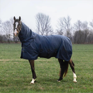 Pferd auf Wiese mit KLMindy Winterdecke von Kingsland, schützt mit 200g Füllung und robustem 1200D Material vor Kälte und Nässe.