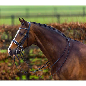 Trust Kandarenzaum Aachen Leder - Anatomisches Zaumzeug am Pferd mit Lackleder-Reithalfter und Stellux-Kristallen für eleganten Reitstil.