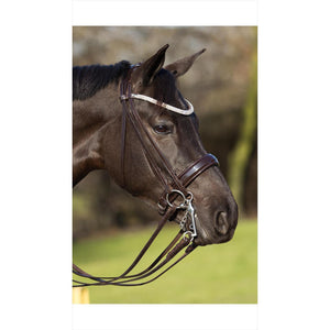 Braune Premiera Kandare handgefertigt mit Lacknasenriemen und Leder-Zügeln, flach genäht für Pferde aus der Standardkollektion.