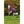 Horseware Outdoordecke Rhino Plus Turnout Heavy 400g mit abnehmbarem Halsteil