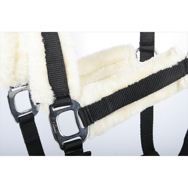 Harrys Horse Halter &amp; Rope Set Standard Collection 