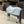 Schwarze Equestrian Show Decke Fleece Abschwitzdecke Kollektion