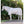 Horseware AMIGO Mio Fly Rug with neck piece 