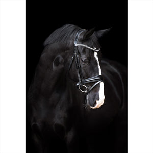 Imperial Riding Bridle Fria 