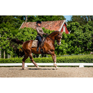 Equestrian Stockholm Schabracke Champagne