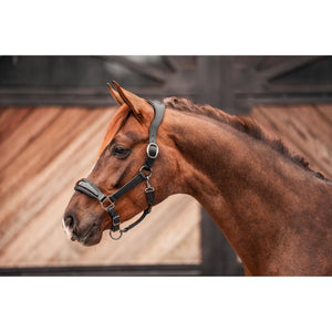 Schwarze Equestrian Lederhalfter Premium #SALE