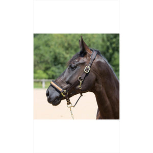 Kieffer Halfter Collection Stallhalfter