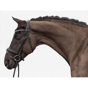 Döbert Trensenzaum Stuttgart Premium bei shop.reitsport-loew.de
