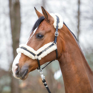 KAVALKADE Lederhalfter Lammfell am Pferd in braunem Echtleder mit waschbarem, abnehmbarem Lammfell. Verstellbar für optimalen Sitz und Komfort.