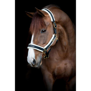 Catago Halfter Bea - Nylonhalfter mit weicher Kunstfellpolsterung in Schwarz-Weiß an braunem Pferd, ideal für komfortable Pferdepflege.
