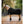 Waldhausen Fleecedecke modern rosé, schwarz/gold #SALE