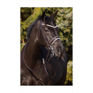 Elegante Premiera Kandare in Braun mit glänzendem Lacknasenriemen, handgefertigt mit silbernen Beschlägen und flach genähtem Leder.