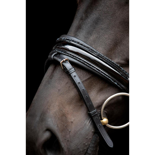 CATAGO bridle Nival standard collection 