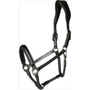 CATAGO Halfter Novi - elegantes Lederhalfter mit weicher Polsterung und silberfarbenen Beschlägen für optimalen Komfort beim Pferdetraining.