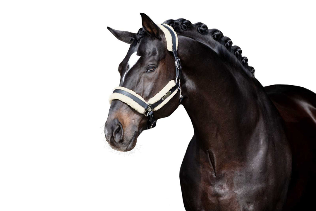 Eskadron Schoner Faux Fur Set STALLION