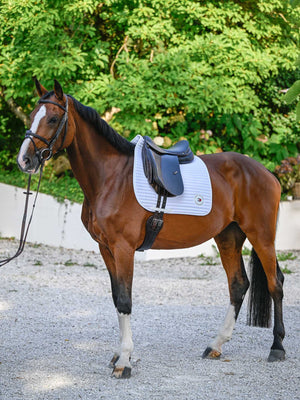 Tommy Hilfiger Upstate Dressur Schabracke