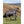 LeMieux Weidedecke Heritage Arika Check 200g mit abnehmbaren Halsteil