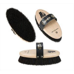 William Leistner Kardätsche Queen 190mm x 85mm aus Rosshaar mit Holzrücken und Lederschlaufe, ideal für Damenhand, medium-softe Pflegebürste.