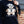 HV Polo Damen Pullover HVPTeddy