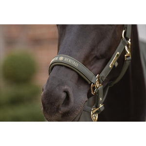 Eskadron Halfter FAUX LEATHER DOUBLE PIN Heritage Heritage 2026/2027
