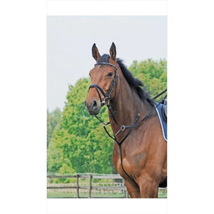 Busse Martingal Basic