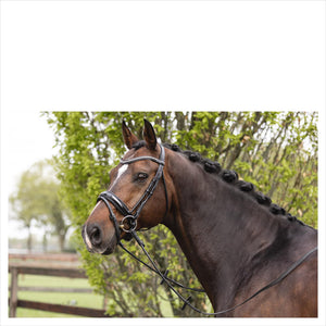 ANKY Trense Nasenband - Anatomisches Design am Pferd, ergonomisch angepasst für Komfort und Stil, perfekt für Sommer 2025 Reitsport.