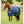 Horseware Outdoordecke Amigo Ripstop 0g Turnout 900D in Blau auf braunem Pferd, ideal als robuste Weidedecke für wechselhaftes Wetter.