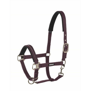 Eskadron Halfter Classic Sports Dornschnalle Eskadron Basics