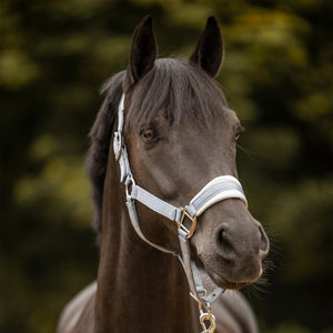 Schwarze Equestrian Halfter Set - Verstellbar & Komfort: Weißes Halfter mit weicher Polsterung und goldfarbenen Beschlägen an schwarzem Pferd.